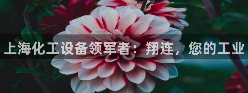 天辰娱乐提现