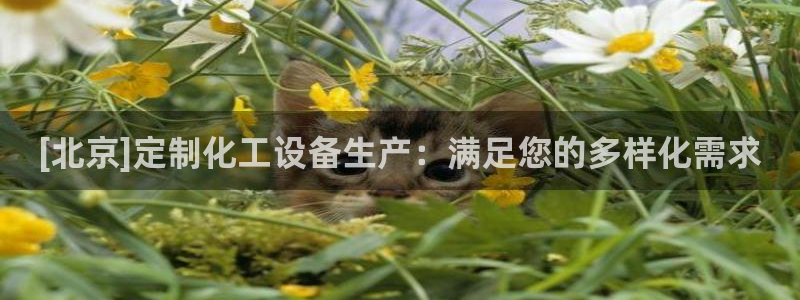 天辰平台会员怎么开