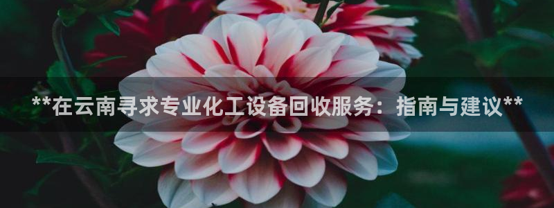 天辰注册平台