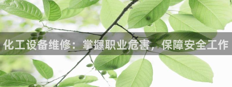天辰平台用户登录不了怎么回事