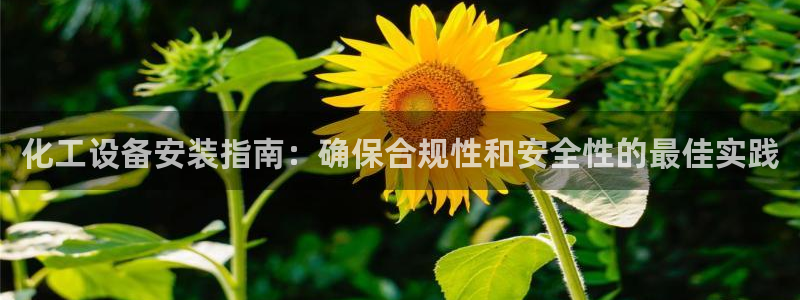 天辰平台布7O777