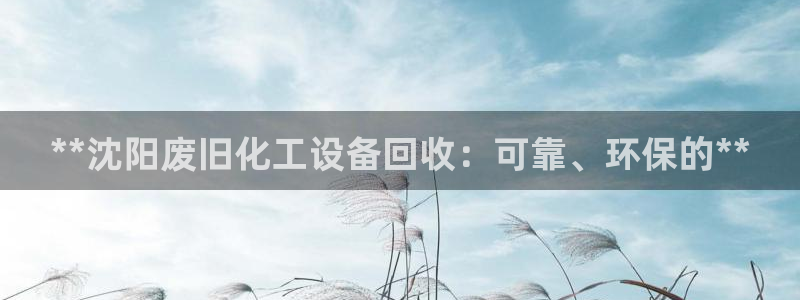 天辰平台给下级分红怎么派发的