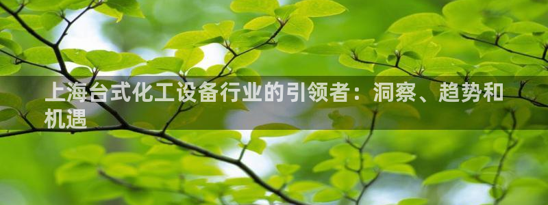 天辰平台障44262
