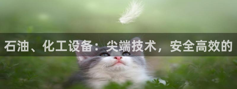 天辰娱乐平台用户评价与反馈