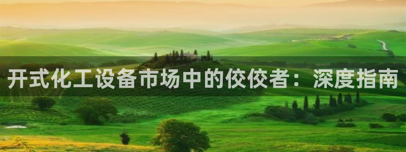 天辰平台联 411O31 平台