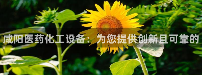 天辰测绘