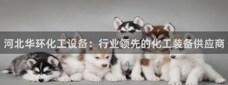 天辰平台用户登录不了怎么办