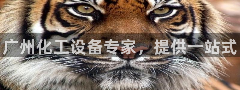 天辰娱乐的老板是谁啊