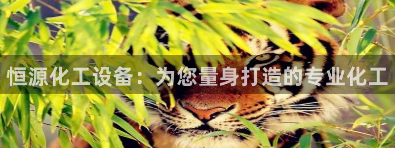 天辰平台注册登录地址怎么改啊
