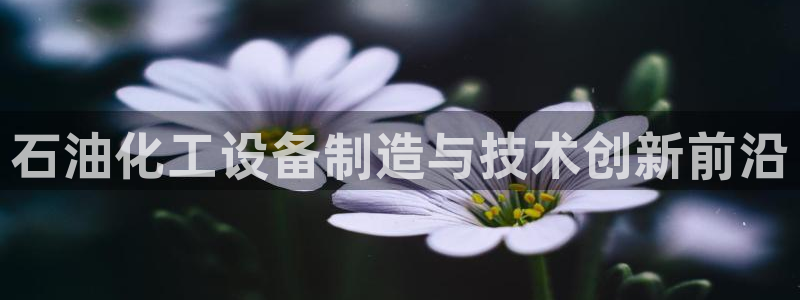 天辰娱乐的老板是谁啊