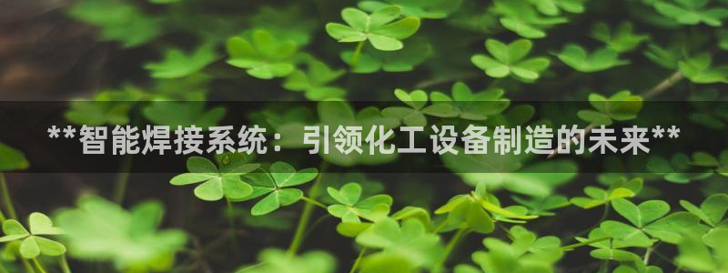 天辰平台毡3300