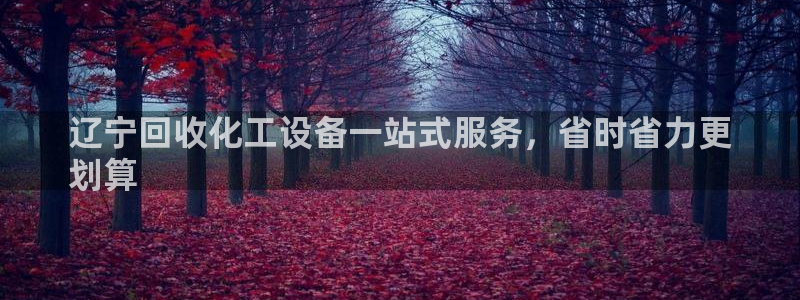天辰平台专用注册通道安全