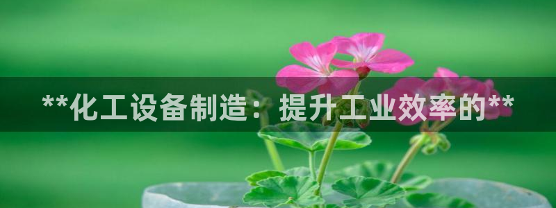 天辰信息网登录