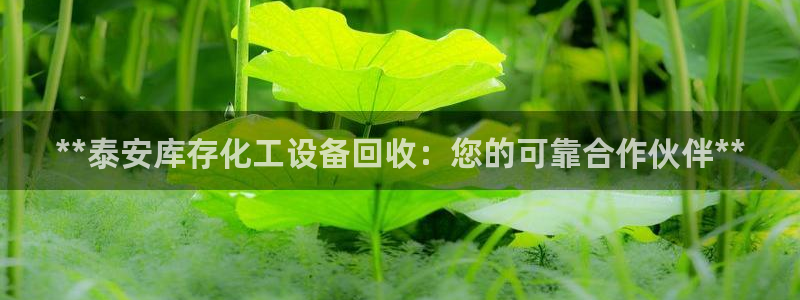 天辰平台注册地址在哪里看