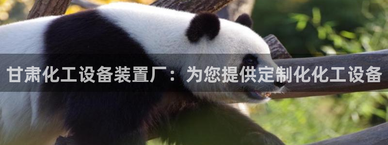 天辰平台你的专属平台是什么