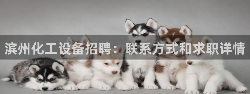 天辰平台测速登录失败怎么回事
