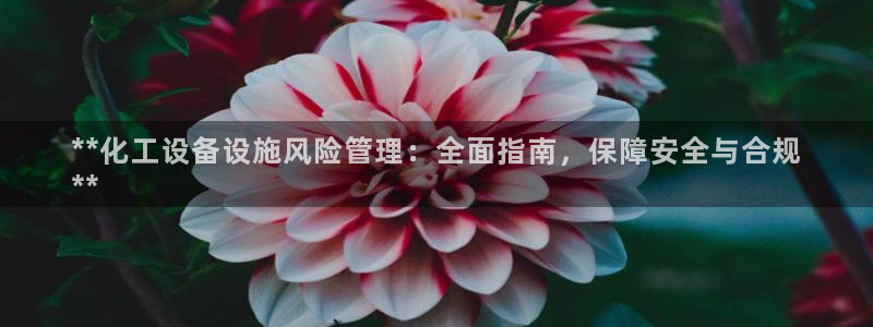 天辰平台易 411o31 天辰