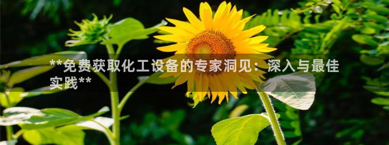 天辰平台注册地址怎么填的