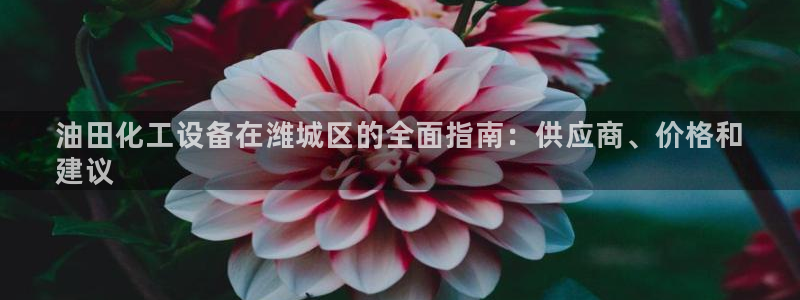 天辰平台用户登录不上去