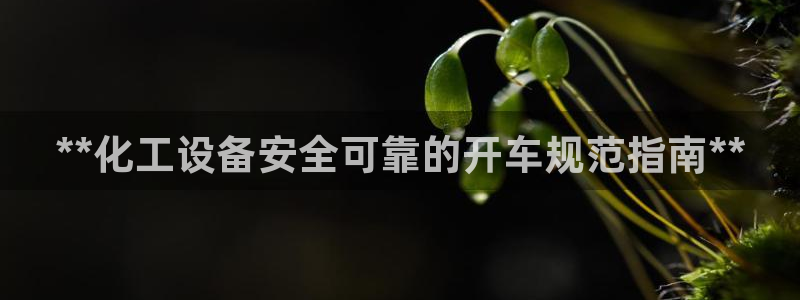天辰平台给下级分红怎么派发的