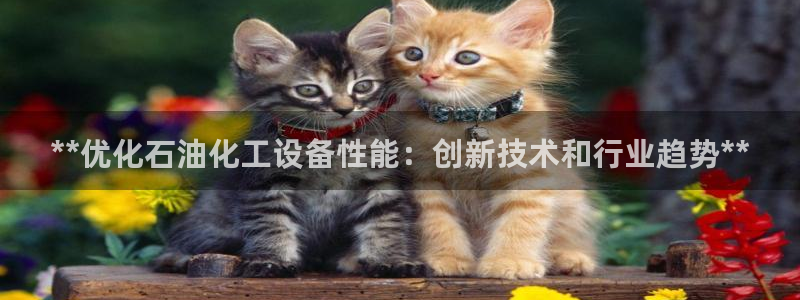 天辰平台怎么样退款