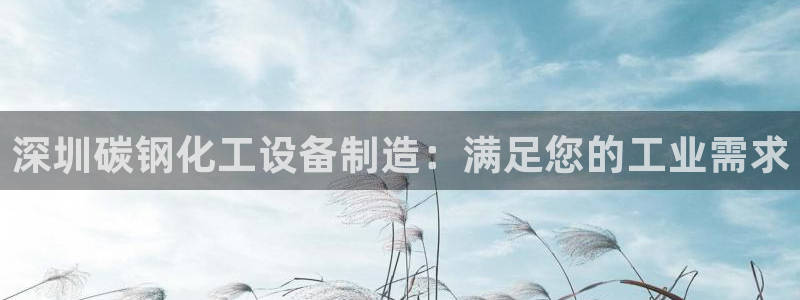 天辰登陆链接：深圳碳钢化工设备制造：满足您的工业需