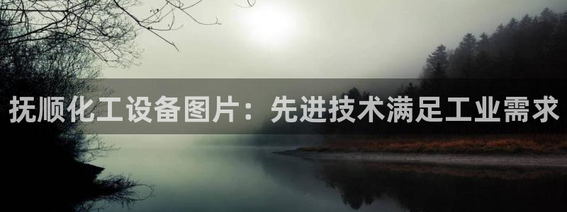 天辰平台注册登录地址怎么改啊：抚顺化工设备图片：先