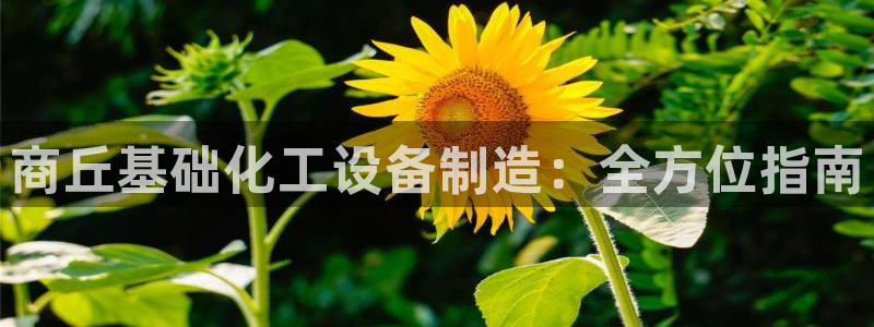 天辰ipci：商丘基础化工设备制造：全方位指南