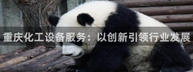 天辰平台系 411O31 天辰：重庆化工设备服务：