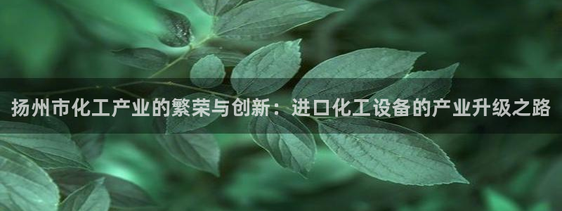 天辰平台游戏退款：扬州市化工产业的繁荣与创新：进口