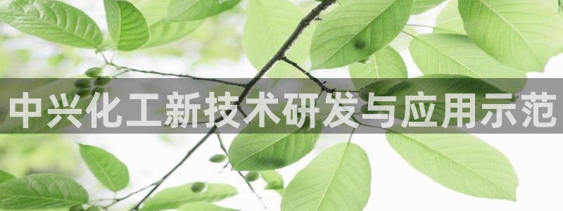 天辰测速登录：中兴化工新技术研发与应用示范