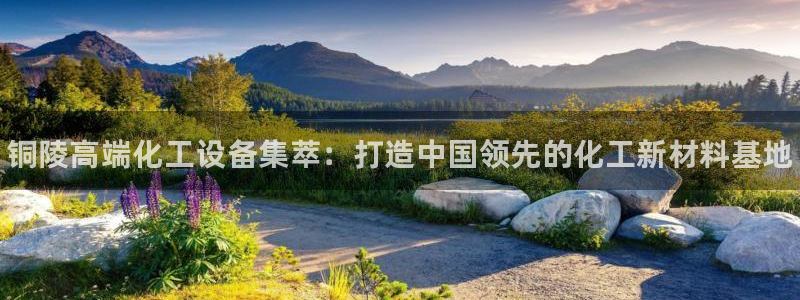 天辰会员开户流程：铜陵高端化工设备集萃：打造中国领