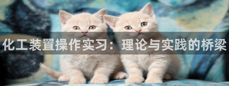 天辰娱乐平台账号注册地址是多少啊