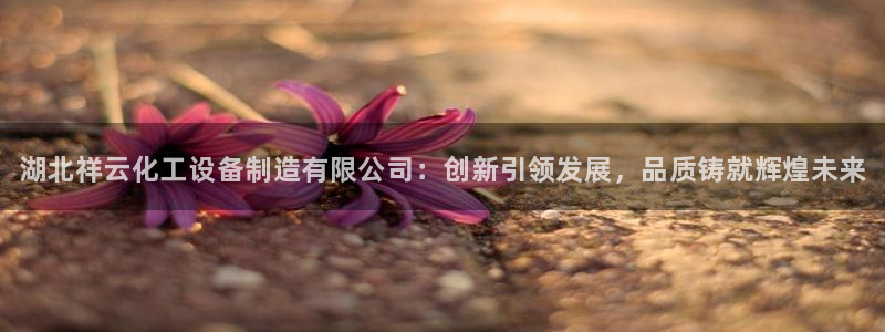 天辰平台用户登录失败怎么回事：湖北祥云化工设备制造