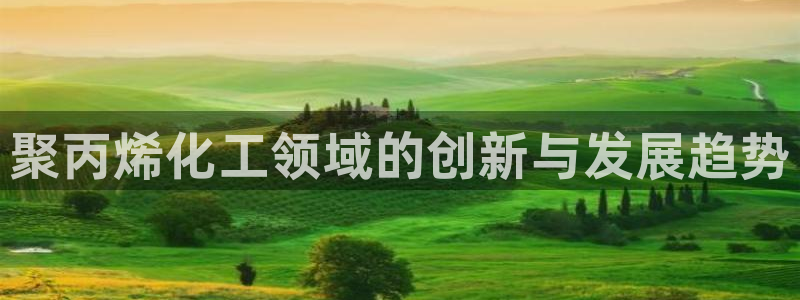 天辰娱乐孩7O777：聚丙烯化工领域的创新与发展趋