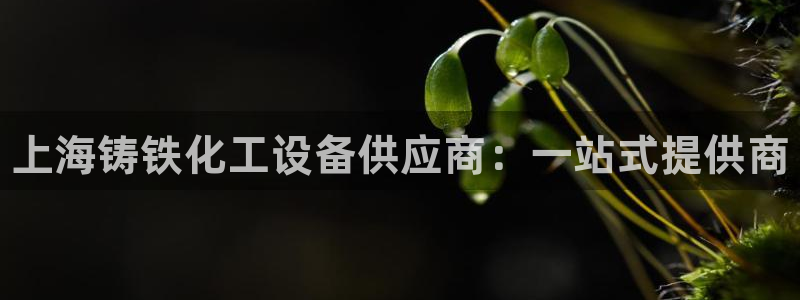 天辰娱乐app里面做任务是真的吗贴吧怎么样：上海铸