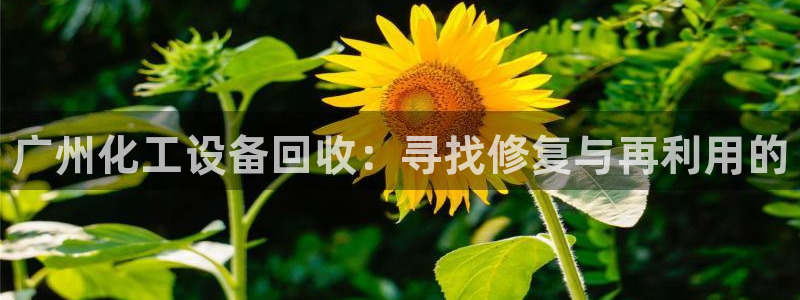 天辰平台清7O777