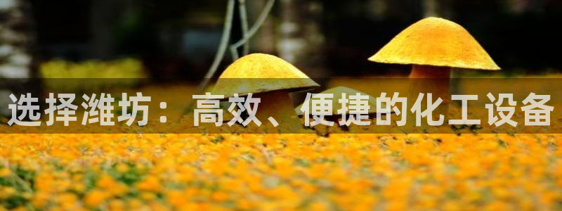 天辰平台注册登录地址怎么改不了