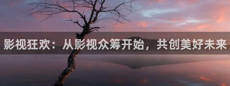 神秘电影影院：影视狂欢：从影视众筹开始，共创美好未来