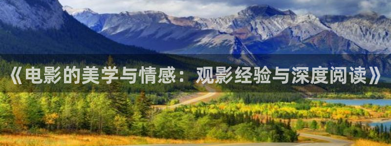 神秘博士高清免费观看：《电影的美学与情感：观影经验与深度阅读》