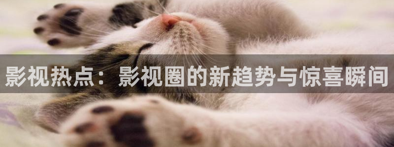 yy神秘影院：影视热点：影视圈的新趋势与惊喜瞬间