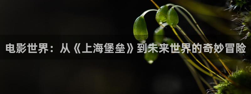 神秘影院：电影世界：从《上海堡垒》到未来世界的奇妙冒险