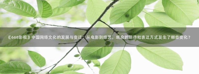 神秘影院青苹果：《668影视》中国网络文化的发展与变迁：从电影到综艺，观众的期待和表达方式发生了哪些变化？