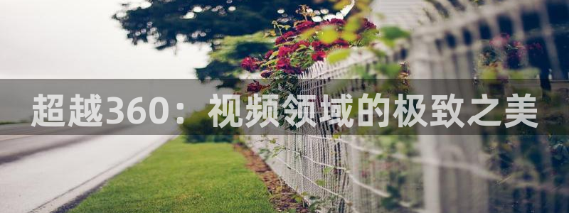 yy神秘影院：超越360：视频领域的极致之美