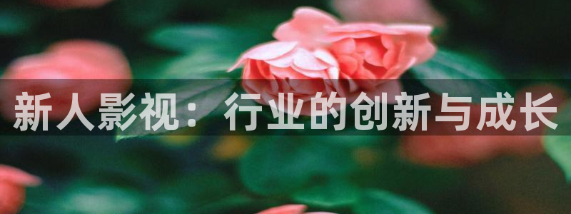 神秘影院青苹果：新人影视：行业的创新与成长